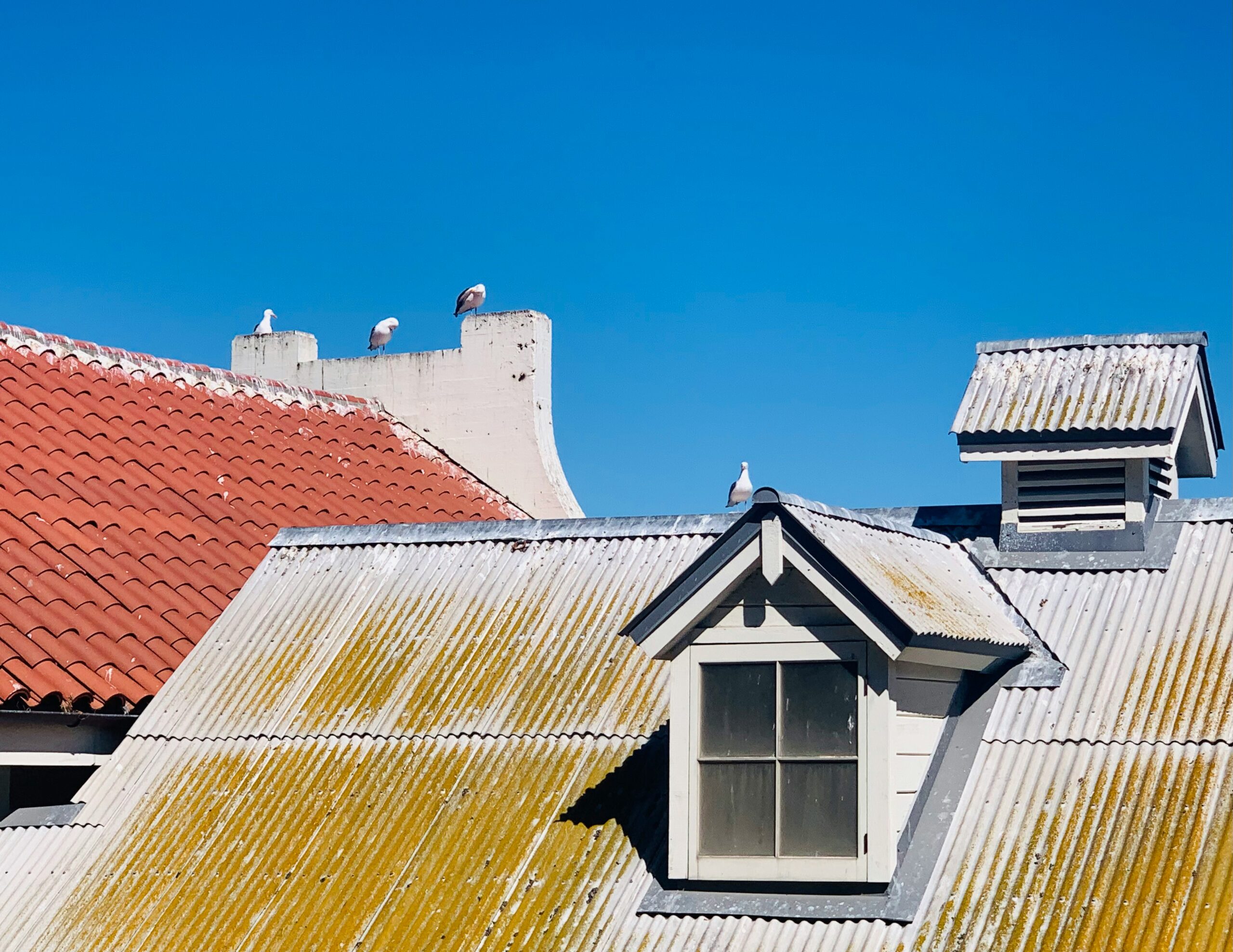 Top 5 Signs You Need a Roof Replacement in Evergreen, CO